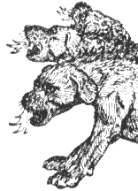 Mythical dog Cerberus had three heads